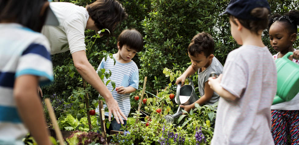Le jardin participatif avec des enfants